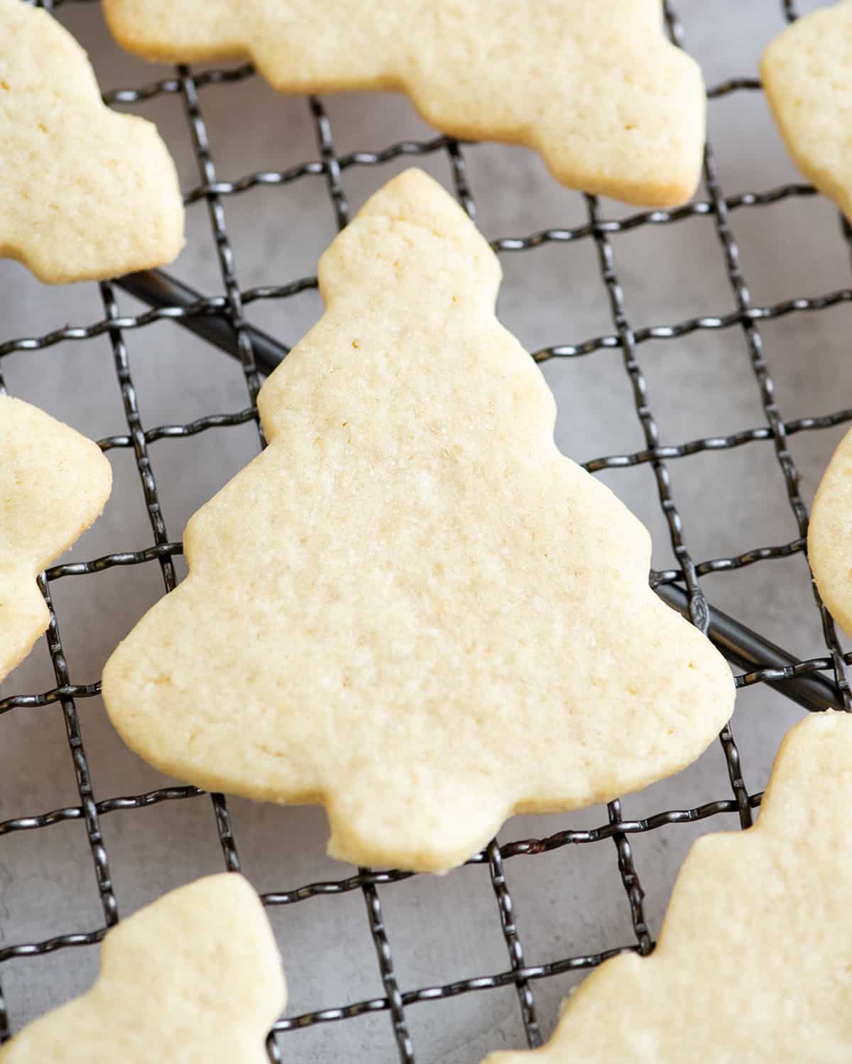 up close overhead view of a cut-out sugar cookie shaped like a Christmas tree on a cooling rack