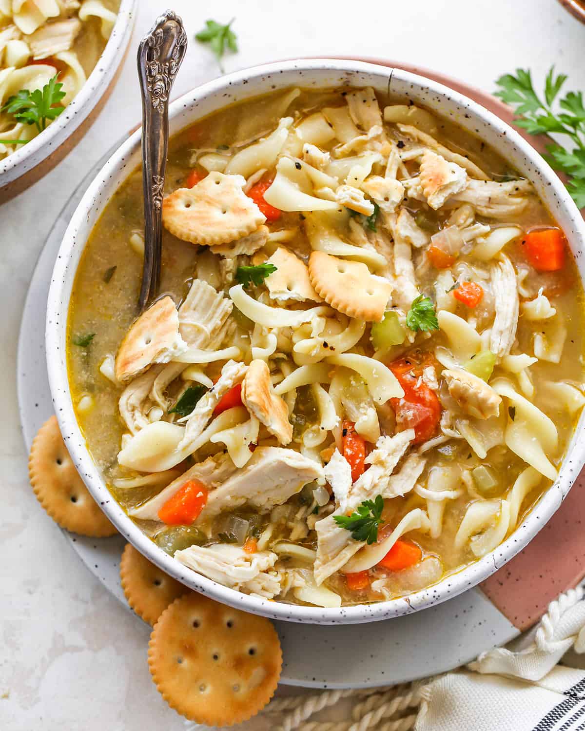 overhead photo of a bowl of Homemade Chicken Noodle Soup