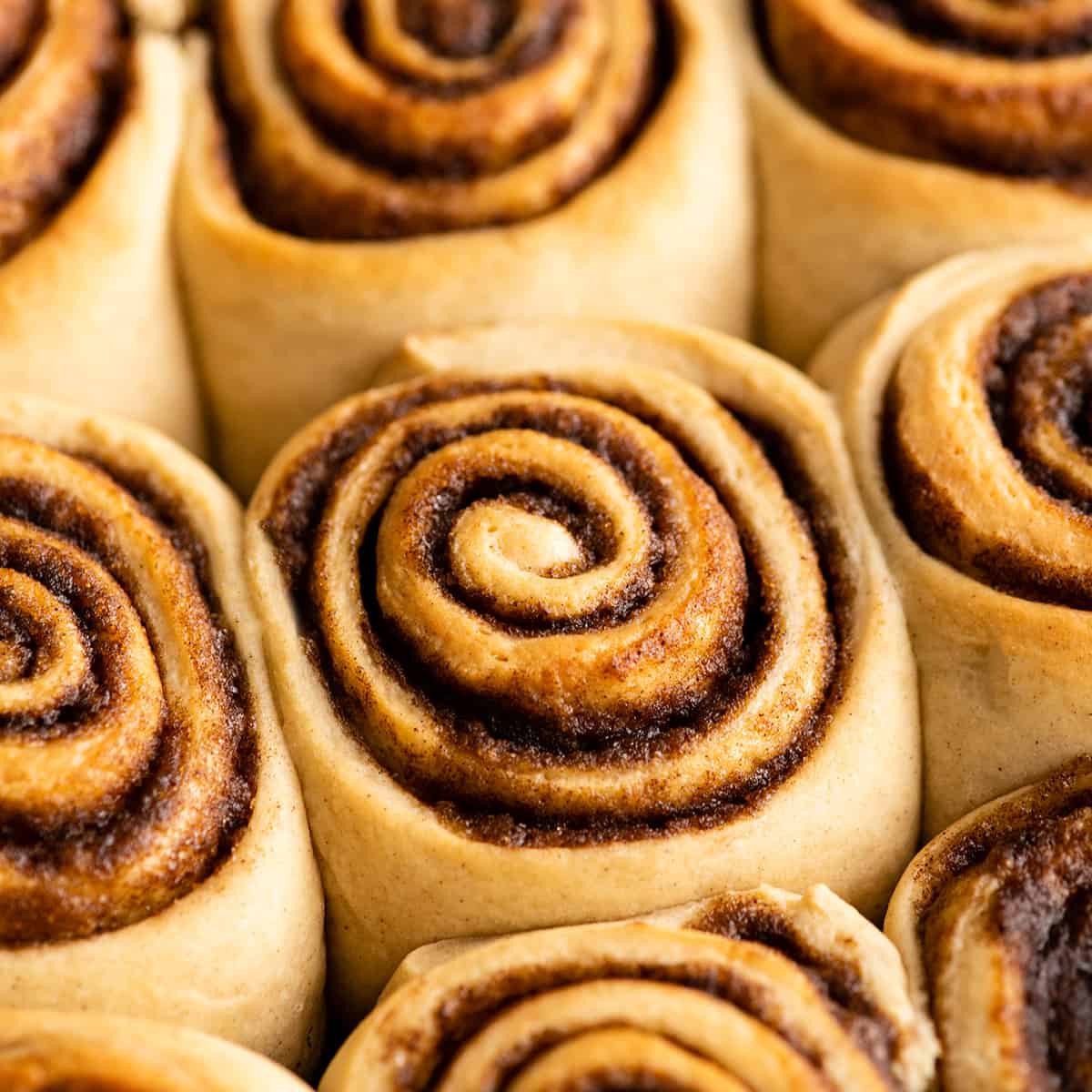 8 cinnamon rolls in a baking pan without frosting