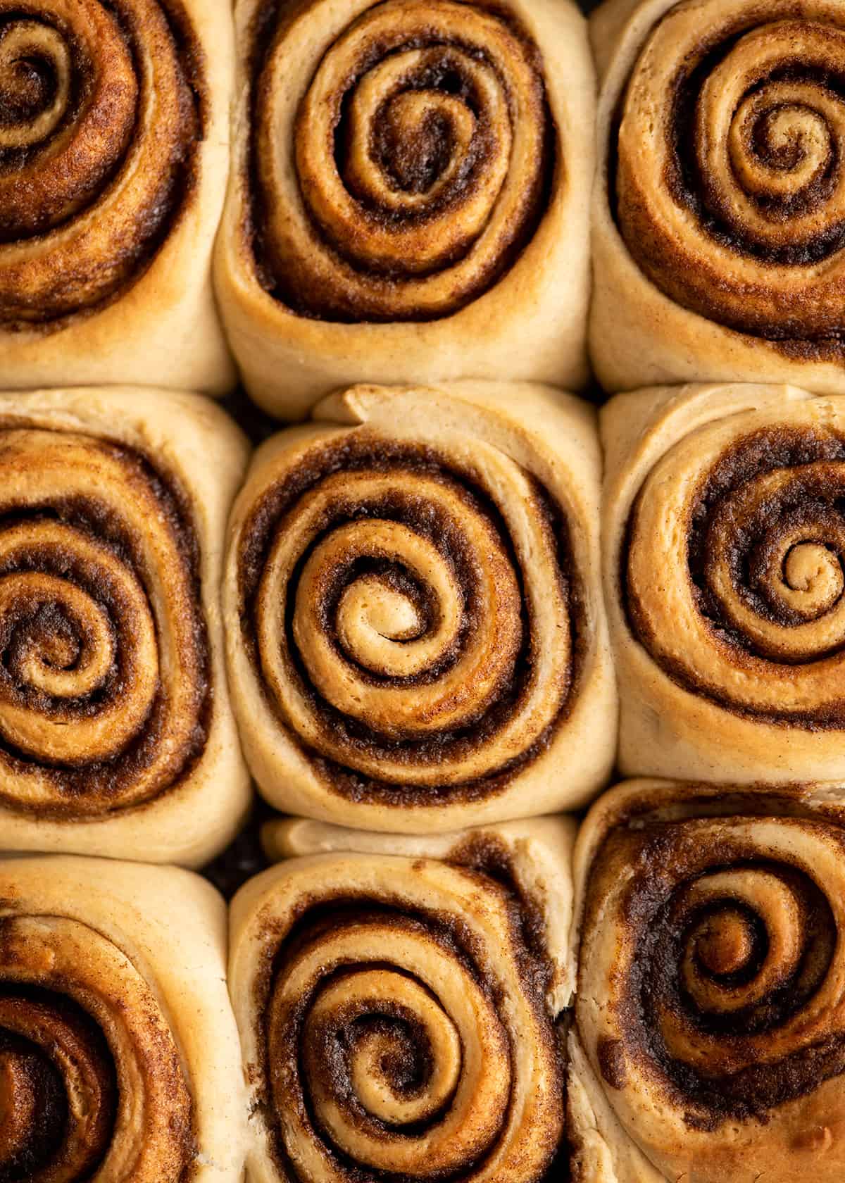 overhead view of a pan of 12 baked cinnamon rolls before being frosted in the making of this cinnamon roll recipe 
