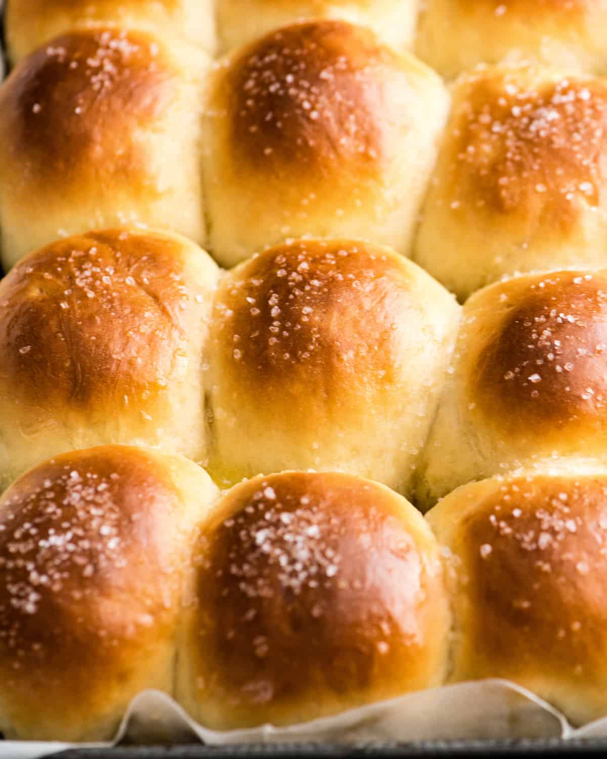 front view of a pan of Best Homemade Dinner Rolls after being baked