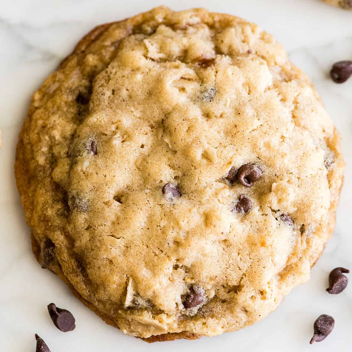 one oatmeal cookie with chocolate chips