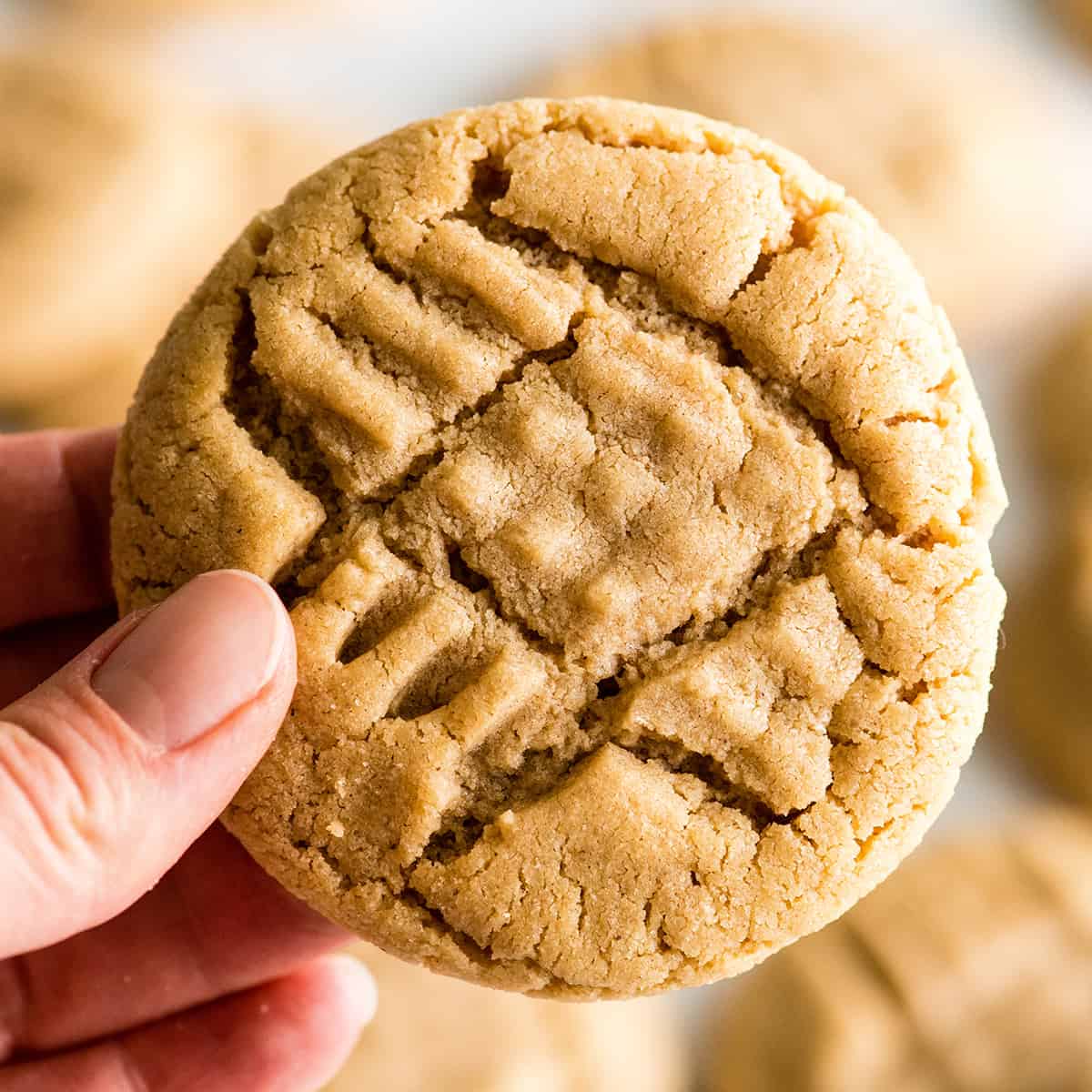 front view of a hand holding a peanut butter cookie