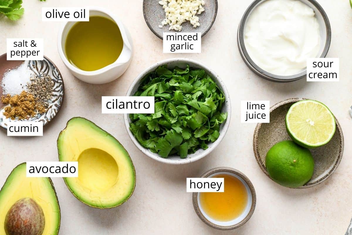 overhead view of the ingredients in this avocado dressing recipe