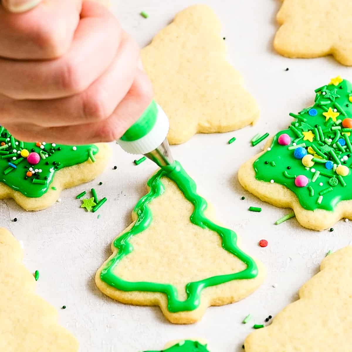 front view of a hand using a decorators bag to put green frosting on a tree-shaped sugar cookie
